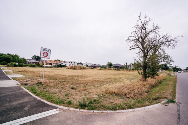 DSC08456