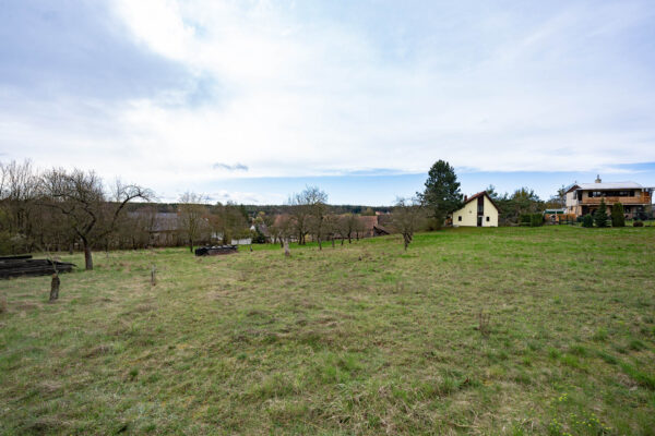 DSC08767