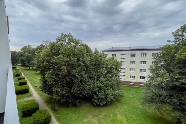IMG_8995