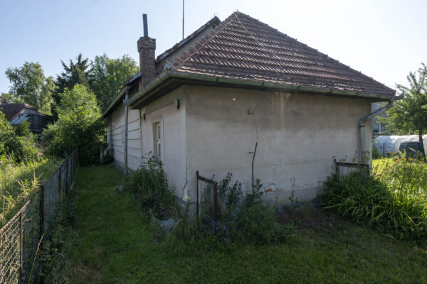 DSC04101